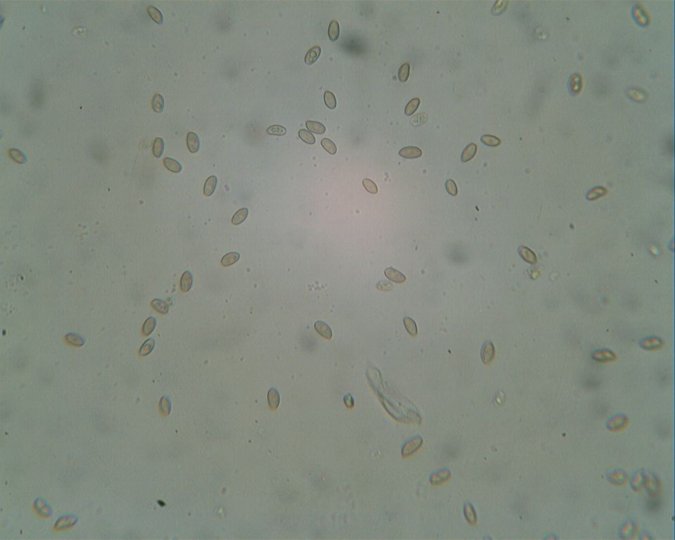 test....per me: che cos''�?